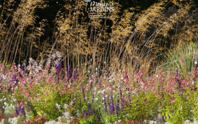 Le Festival International des Jardins de Chaumont sur Loire