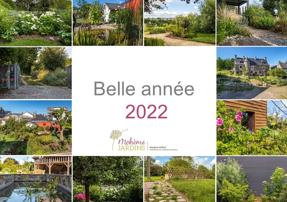 Belle année 2022