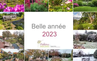 Belle année 2023